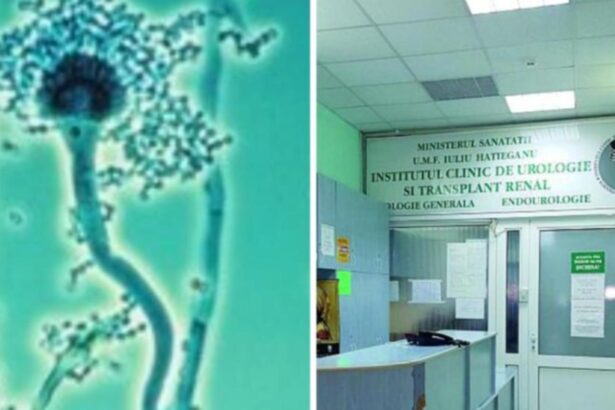 alerta sanitara o bacterie extrem de periculoasa gasita in sala de operatie a unui mare spital din tara rata de mortalitate ridicata 68a80e78565c8