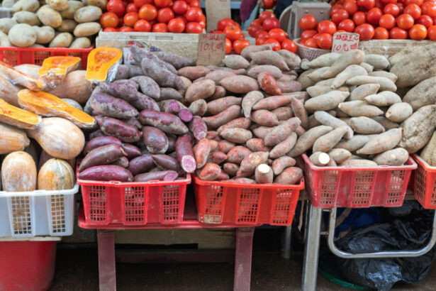 cartofii si rosiile au un stramos comun iar asta poate ajuta la revolutionarea agriculturii tomate la suprafata tuberculi in pamant 688e1369a6cb9