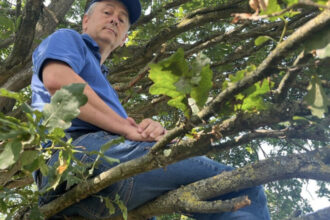 ce solutie a gasit un suporter britanic pentru a vedea meciurile echipei favorite dupa ce a primit interdictie pe viata la stadion 6898a71f2372f