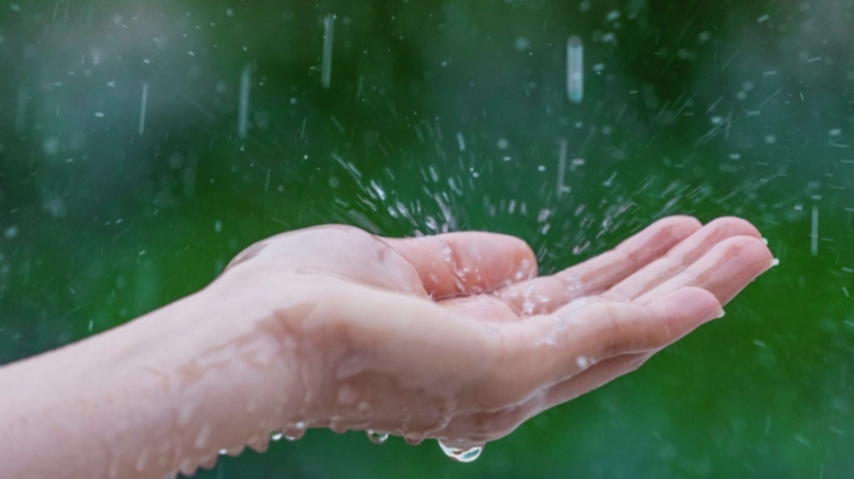 cum a ajuns sa fie taxata si apa de ploaie autoritatea in domeniu vine cu