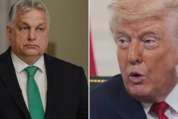 donald trump l a sunat pe viktor orban presedintele sua a incercat sa il convinga sa renunte la blocarea aderarii ucrainei la ue 68a54be01540e