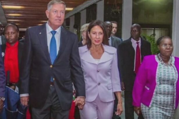 este oficial anaf a confirmat ca iohannis trebuie sa dea inapoi toti banii de chirie 68b050cb33c4e