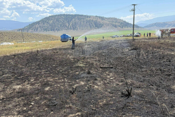 foto un peste scapat de o pasare de prada pe o linie de inalta tensiune a provocat un incendiu in canada a vrut sa incerce peste gatit 68943dbfd2ad2