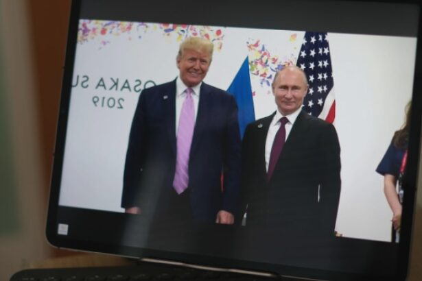 gluma controversata despre alegeri pe care a facut o presedintele sua la ultima intalnire trump putin in 2019 689f979abb8a6