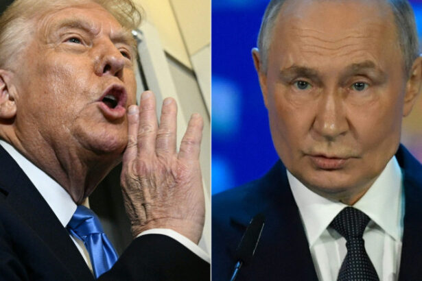 inaintea intalnirii donald trump vladimir putin din alaska statele unite au suspendat temporar unele sanctiuni impotriva rusiei 689db9f31eaa3