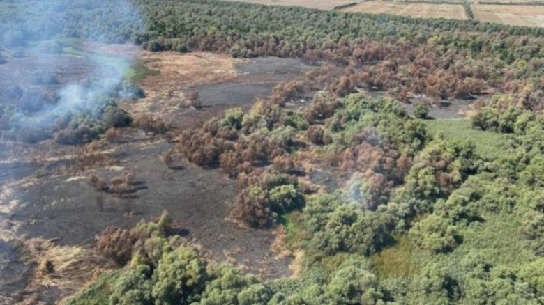 incendiu de proportii in delta dunarii circa 50 de hectare de vegetatie si padure au fost mistuite de flacari 68a4a47a03c3a