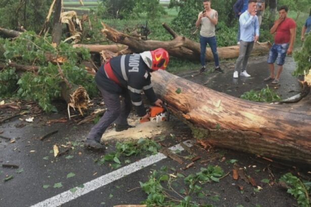 incident grav in sectroul 2 al capitalei un copac a cazut peste doua femei 68a3424a5c679