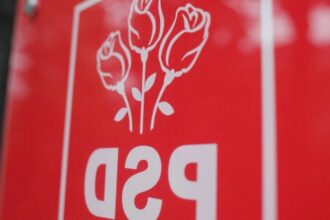 lider psd ministrii usr si au pus oamenii la sefia companiilor de stat 68af09a0690a0