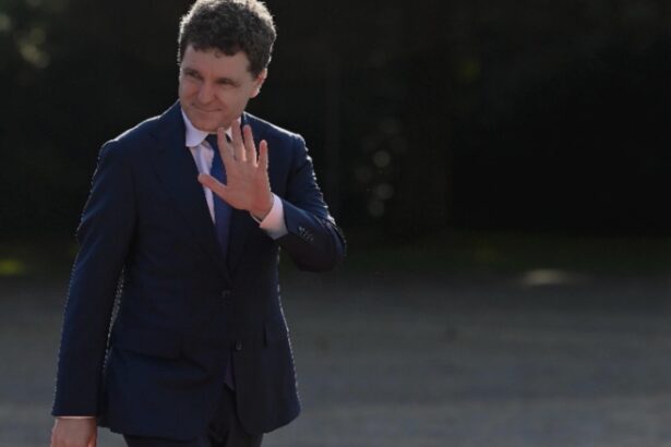 nicusor dan reactioneaza dupa scandalul curierului batut in capitala nu ura ne defineste pe noi romanii ci solidaritatea 68b064549a1f6