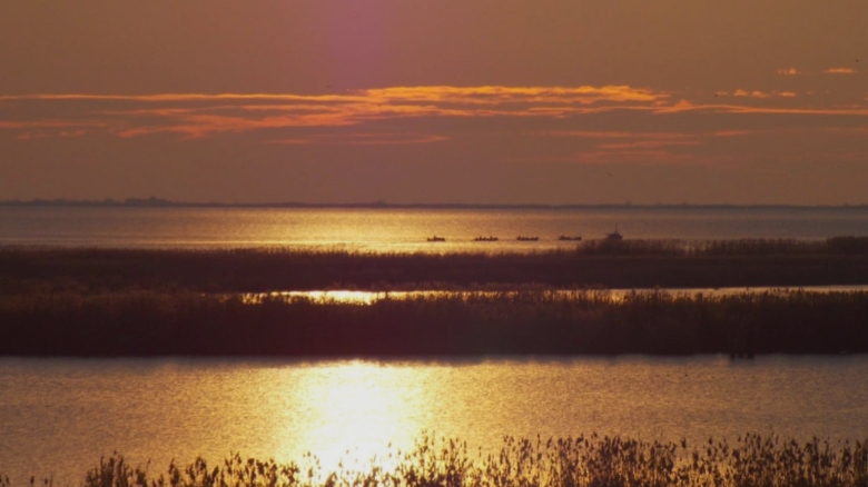 nivelul apei din complexul razim sinoe tot mai scazut semnalul de alarma tras de specialisti 68ac51a3c26d7