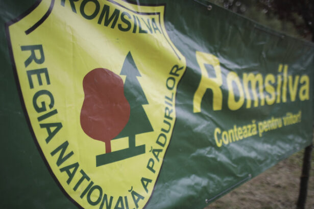 noi contracte pentru membrii ca al romsilva cu indemnizatii reduse cu peste 50 buzoianu regia se afla intr o situatie critica 68939e6037bbb