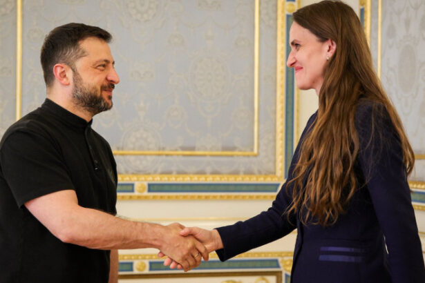 oana toiu s a intalnit cu volodimir zelenski la kiev ce subiecte au fost abordate 6894e35b24c27