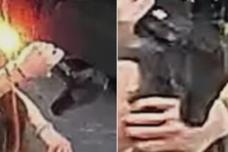 panica intr un salon de coafura un uscator de par a explodat in mainile unei cliente 68a46be008895