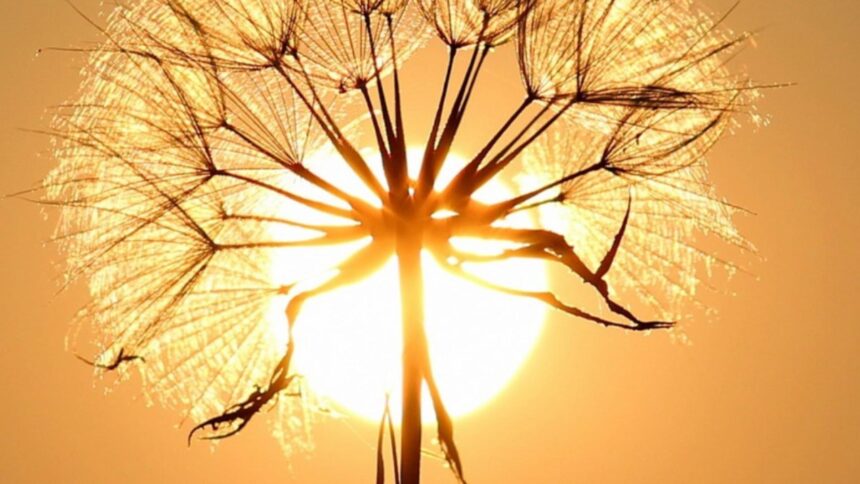 prognoza meteo 30 august final de vara cu surprize intre canicula sufocanta si furtuni violente 68b281939ff70