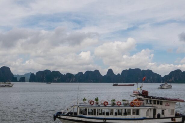 romanii si cetateni din alte 11 tari ale ue pot calatori in vietnam fara vize care sunt conditiile 68a32133d3502