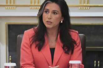 scandal in cercurile serviciilor secrete tulsi gabbard acuzata ca blocheaza cooperarea din cadrul aliantei spionilor five eyes 68af29412ec99
