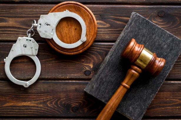 sefii curtilor de apel din tara acuza politicienii ca incearca sa timoreze judecatorii si sa distruga increderea in justitie 6892249dac317