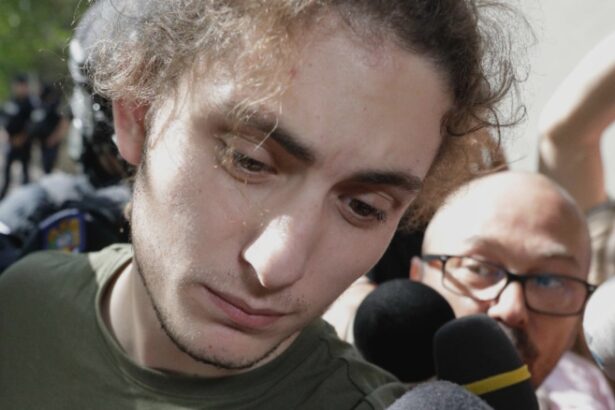 sentinta definitiva in cazul vlad pascu 10 ani de inchisoare cum a motivat instanta decizia accidentul rutier a avut caracter fortuit imprevizibil si nu unul voit 68a704989cd21