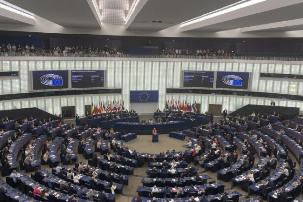 socialistii verzii si stanga unita din parlamentul european cer un embargou asupra vanzarii de arme catre israel 6892f9c3970af