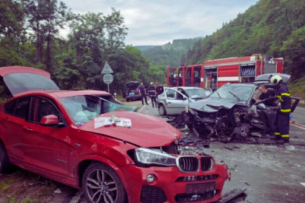 sofer roman retinut dupa accidentul grav de vineri din bulgaria un alt roman implicat depistat pozitiv pentru consum de droguri 688f23de05c3b