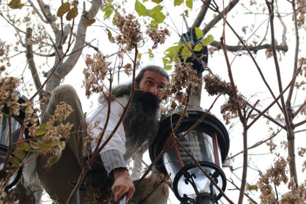 stegarul dac aflat in arest la rahova a escaladat un gard si s a urcat intr un pom intervin politisti negociatori si psihologi 688d2bfe5b4a8