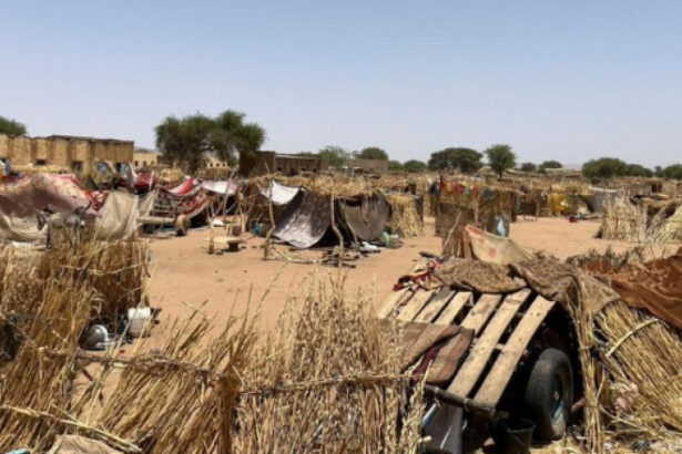 sudanul este lovit de cea mai grava epidemie de holera din ultimii ani zeci de morti saptamanal situatii oribile si dezumanizante 689df99c094d2