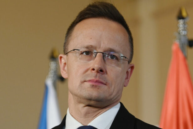 ungaria critica pozitia ue privind summitul putin trump ministrul de externe s a consultat cu moscova pe tema razboiului din ucraina 689ad36c5548a