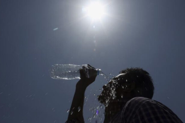 val de caldura extrema in franta autoritatile sunt in alerta seceta severa creste riscul incendiilor de vegetatie 689bad6f9f621