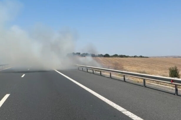 video autostrada soarelui inchisa din cauza unui incendiu de vegetatie traficul catre bucuresti a fost deviat 6899d538222e5