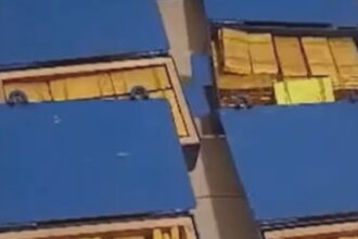 video patronul cfr cluj se lauda cu aurul pe care il detine sunt 17 cutii a cate 100 de kile pregatite 68aefaa23f72d