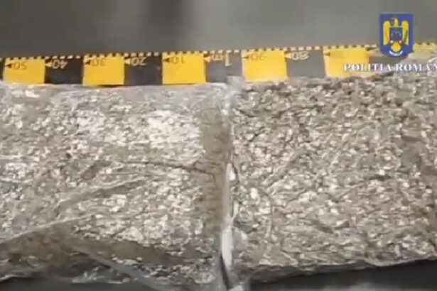 video un tanar din arad a fost prins in flagrant in timp ce ridica 13 kilograme de droguri sosite prin curier din spania 689360f24f282