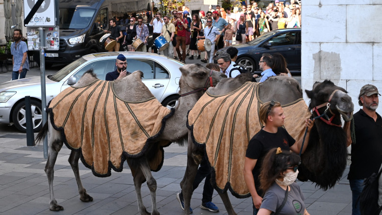 videofoto protest cu camile la budapesta fermierii trag un semnal de alarma asupra pericolului desertificarii ungariei 68950193465f2