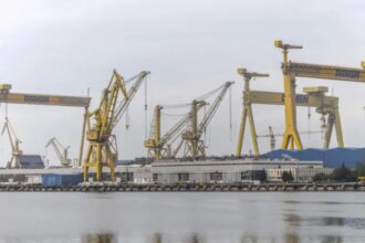 angajatii de la santierul naval damen mangalia protesteaza in fata ministerului economiei 68d38b2266688