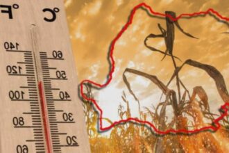 cod galben de canicula in 10 judete din tara care sunt zonele vizate harta 68bbed73a4079