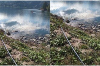 deversari ilegale de ape uzate in lacul colibita operator economic amendat cu 30 000 de lei 68dc34ee85387