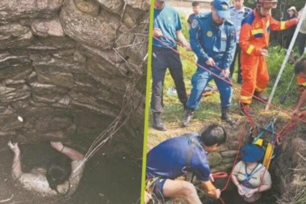 experienta uimitoare a unei femei de 48 de ani a supravietuit 54 de ore intr o fantana plina de serpi agatata de pereti 68db959fb95d9