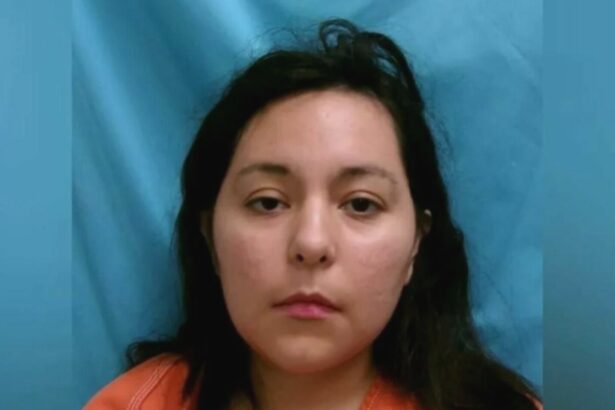 mama acuzata de crima vanessa si a lasat bebelusul la peste 35 de grade celsius intr o masina si a mers la fast food 68bac9246c98b