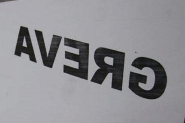 masurile lui bolojan blocheaza primariile peste 10 000 de angajati protesteaza fata de taierile anuntate de guvernanti 68b6b56e0a21e