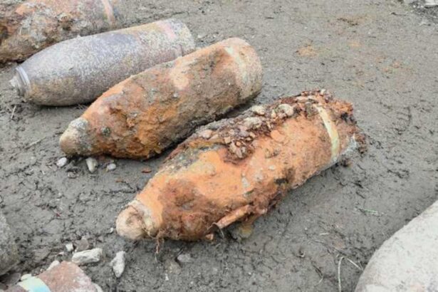 munitie din primul razboi mondial scoasa la suprafata de viituri neutralizata de pirotehnisti 68d7fc8994dc3