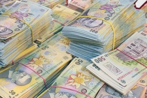 nicusor dan a semnat banii din camatarie pot fi confiscati de stat 68da9f996f181