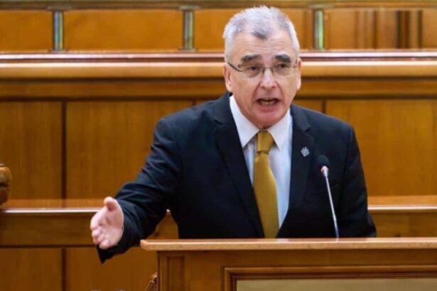 petrisor peiu aur face scoala cu bolojan nu catavencu e autorul ci farfuridi 68bd98a5b7869