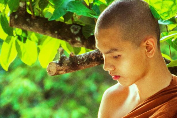 principii ale calugarilor budisti care iti pot schimba viata rutina zilnica ce iti va imbunatati starea de spirit 68c2bc4a36a89