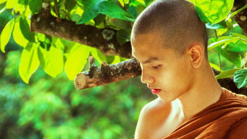 principii ale calugarilor budisti care iti pot schimba viata rutina zilnica ce iti va imbunatati starea de spirit 68c2bc4a36a89