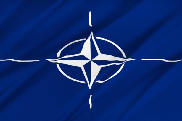 reactia romaniei la initiativa nato de a intari flancul estic ce spun mae si mapn 68c485e66661f