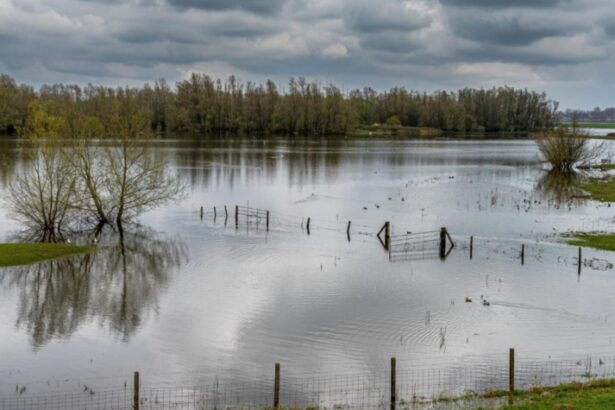 risc de viituri pe rauri din nordul si nord vestul tarii hidrologii au instituit cod galben 68c151f16c4fa