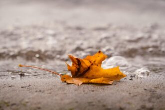 scad temperaturile in capitala prognoza meteo pentru urmatoarele zile maximele nu trec de 19 grade la inceput de octombrie 68da4091da73f