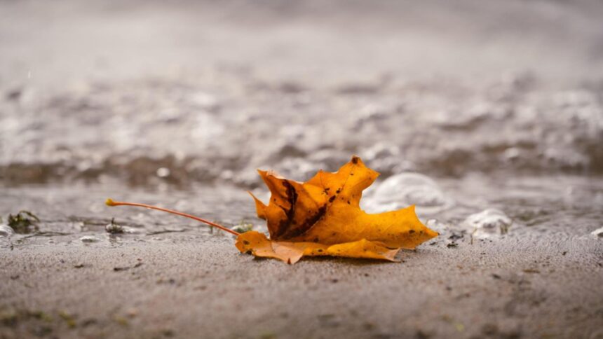 scad temperaturile in capitala prognoza meteo pentru urmatoarele zile maximele nu trec de 19 grade la inceput de octombrie 68da4091da73f