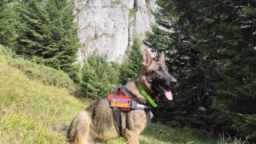 schelet uman descoperit in muntii ceahlau anchetatorii cred ca ramasitele dateaza de peste 20 de ani tulburator ce au gasit in haine foto 68c162545992c