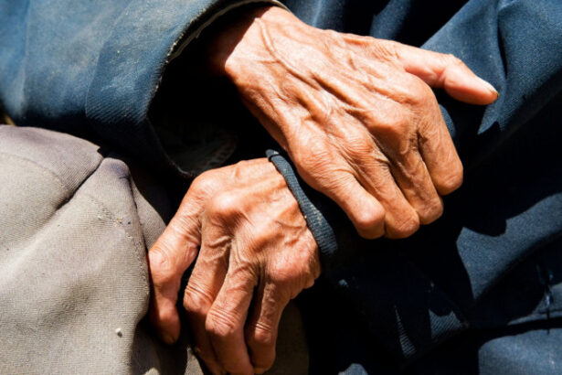 secretul longevitatii unei supercentenare cercetatorii au aflat cum a ajuns o femeie la 117 ani ferita de bolile batranetii 68da04d6663b9