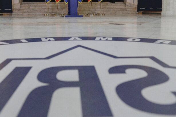 sefia sri si sie in stand by jocurile orchestrate de nicusor dan si aruncate in spatiul public 68b531ce09325